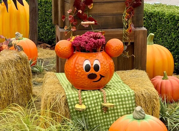 「かわいさ大渋滞！」ダークな世界観に夢中♪新キャラも登場【ディズニーランド】ハロウィーンを徹底紹介
