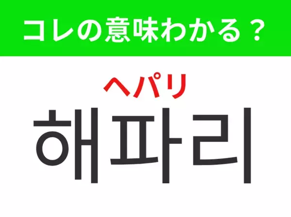 【韓国生活編】触手を伸ばして海を漂う生き物！「해파리（ヘパリ）」の意味は？