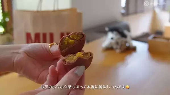 「買ってよかった！」【無印良品】マニア厳選！秋のおすすめアイテム16選♪おしゃれな日用品から限定スイーツまで