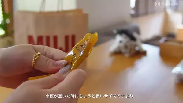 「買ってよかった！」【無印良品】マニア厳選！秋のおすすめアイテム16選♪おしゃれな日用品から限定スイーツまで