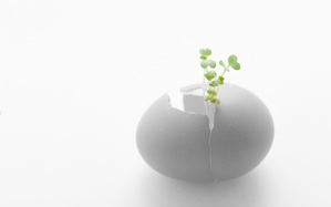 子どもの第1次反抗期にはこう対処しよう！