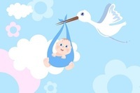 2013年度版　妊娠・出産のお金特集　～内祝いの相場から育児休業給付金まで～