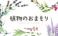 植物のおまもり