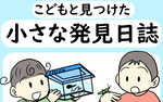 こどもと見つけた小さな発見日誌