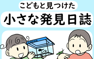 こどもと見つけた小さな発見日誌