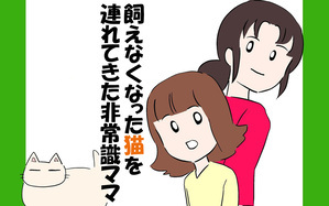 飼えなくなった猫を連れてきた非常識ママ
