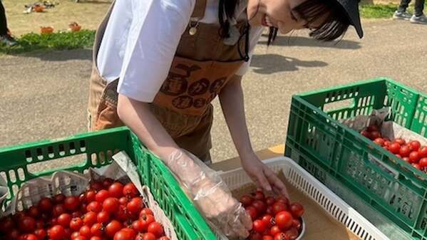 「めちゃ真剣なれにちゃん」ももクロ・高城れにがトマトの詰め放題を楽しむ