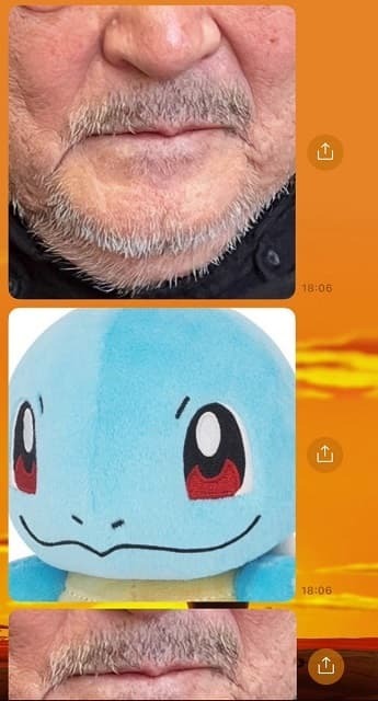 大和田伸也の〇〇があのポケモンにそっくり!?家族からのLINEにファンから反響