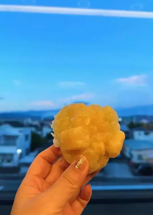 「鬼ウマバブリー！」平野ノラ絶賛、名古屋の鬼まんじゅうに共感の嵐！