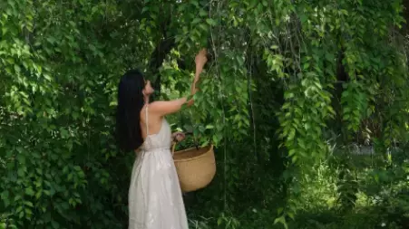 「今年の梅仕事がはじまったよ」ローラ、最新スローライフショットにファンも興味津々