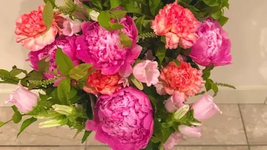 夏木マリが「お花シリーズ」最新ショットを公開！芍薬と共に送る“よい日に”メッセージが話題に