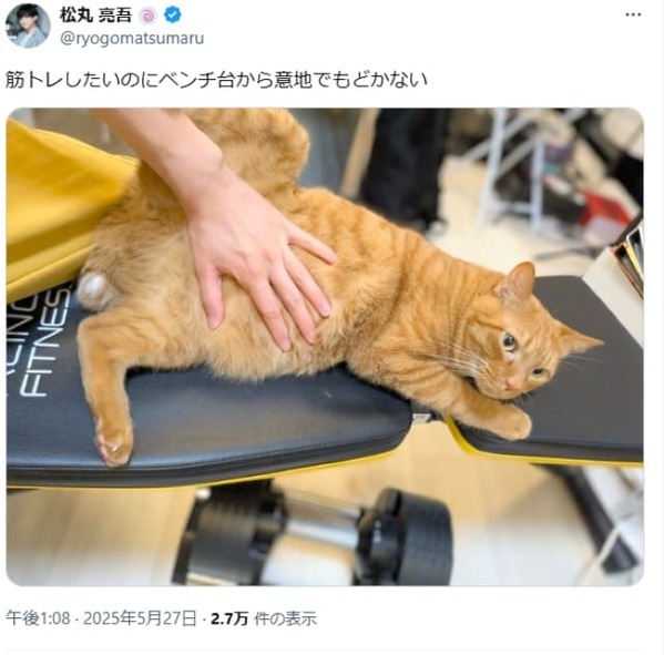 松丸亮吾の愛猫、筋トレ中に「意地でもどかにゃい！！」