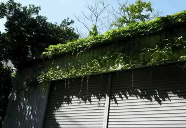 「もう夏に入った気がします。」宮世琉弥がお仕事合間のワンショットを投稿