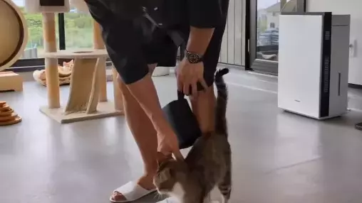 武井壮が“さかがみ家のウルちゃん”と癒やしの時間！可愛すぎる鳴き声にメロメロ動画公開