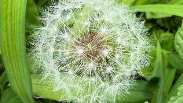 仲間由紀恵、雨の日の散歩ショットを公開　久しぶりの投稿にファン歓喜「嬉しい！」