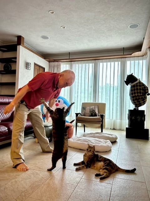 「YMCAも出来るようになるかも」写真家・岩合光昭が投稿した愛猫の”ラジオ体操”みたいな姿が話題に