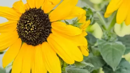 尾木ママに届いた父の日のプレゼントが話題！「元気出る」「ビタミンカラーに癒される」と絶賛の声