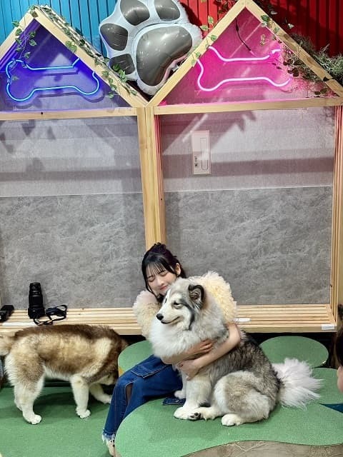 「ニシダさんじゃなくて…」FRUITS ZIPPER・鎮西寿々歌がハスキー犬にメロメロ！「可愛すぎる癒しショット」とファンも歓喜