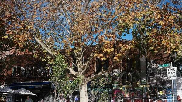 「メルボルン、冬」高橋メアリージュン、嫉妬に狂うであろう役柄で意識していることとは…？！