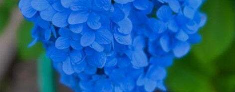 「しんどたのしい」最上もが、合間の時間にキックボクシングに挑戦！