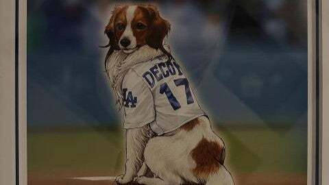 「めっちゃカッコいい」「ドヤ顔…最高」大谷翔平の愛犬「デコピン」が人気カードゲーム化！