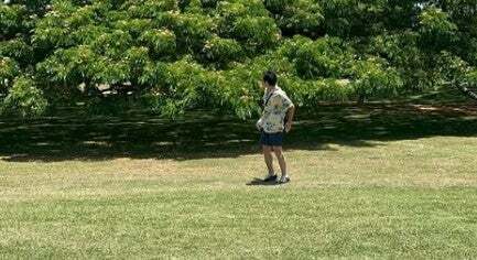 アンタッチャブル柴田がハワイで有名な『あの木』のところへ！