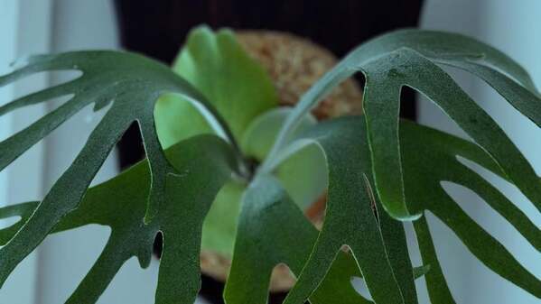 毒舌王が見せた“もう一つの顔”…あの国民的司会者の静かな決意とは