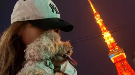 「癒しの6月」ヨンア、幸せ溢れる日々を報告！ファンから感謝の声続々