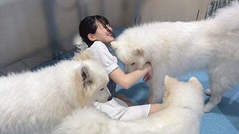 「最高すぎる」女性声優が投稿した”白い〇〇たち”に溺れる幸せショットに反響