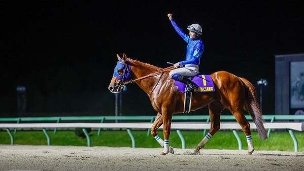 「2頭とも元気にしてるかなぁ」JRA騎手・坂井瑠星があの競走馬たちへ思いを馳せる