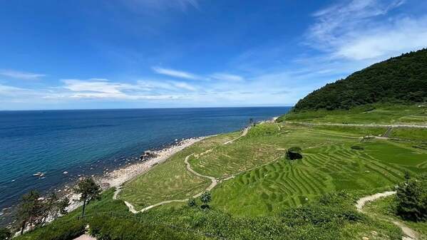 Jリーガー田中碧は「心のエース！」能登に響いた温かなまなざしと言葉に反響！地元の感謝が溢れる