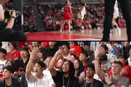 1番楽しんでる?バスケ女子国際試合の応援に駆けつけた男子日本代表選手たち!