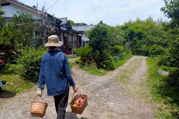 毎年恒例◯◯狩り。板谷由夏が自然の中で体と心をリフレッシュ