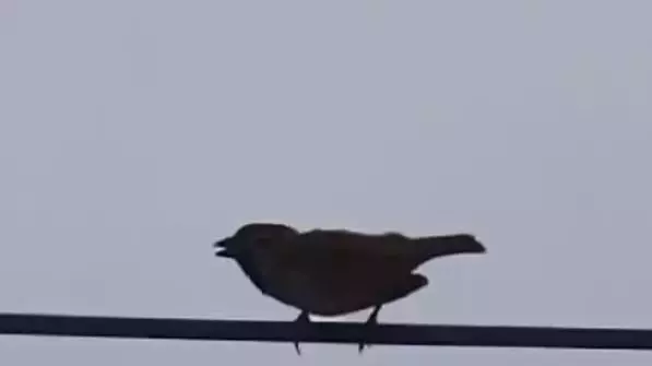 「無理するんじゃないぜぇ」スギちゃん、毎日の来客〇〇に優しすぎる呼びかけが話題に