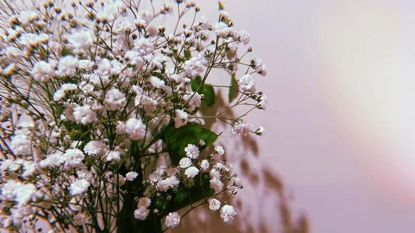 華優希が宝塚卒業4年を報告「これからもまっすぐ歩んでいきたいです」