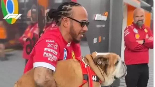 “パドックの王”が堂々登場！Roscoeがレッドの装いでファンのハートを鷲掴み