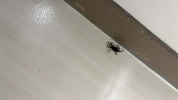 え？○○が廊下に！？元乃木坂46・生駒里奈が公演後に出会った“意外な来客”」